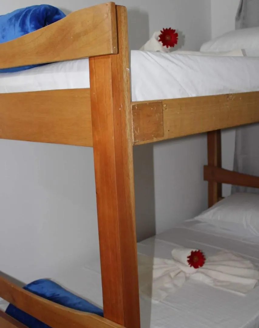 Absolute Hotel & Hostel Boutique Medellin Bed & Breakfast