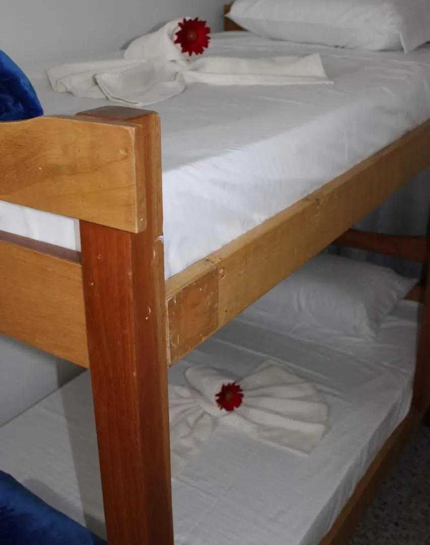 Absolute Hotel & Hostel Boutique Medellin Colombia